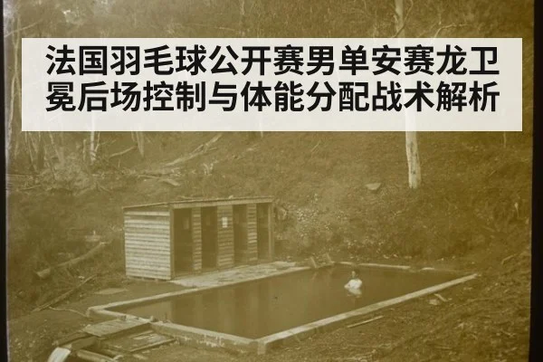 法国羽毛球公开赛男单安赛龙卫冕后场控制与体能分配战术解析